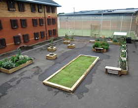 Prison garden project