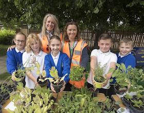 school growing project